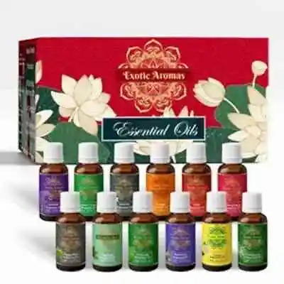 Exotic Aromas Essential Oil Multi Flavor Pack Of 12 • $33.90