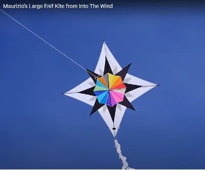 $85 • Buy Maurizo's Large Enif Kite By Into The Wind + Tail + Case Rare Collectors Item