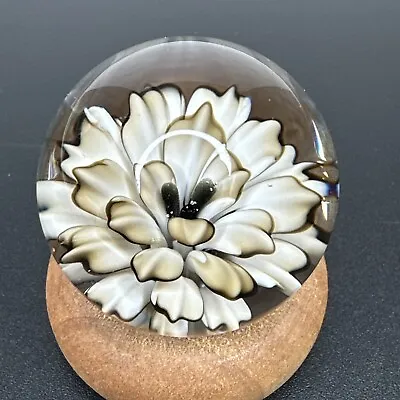 Contemporary Art Glass Marble 1.25  Handmade Flower Implosion Floral Boro MIB • $50.99