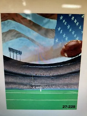 Sportsfield10'x20' Muslin 100% Airbrush Painted Photo Backdrop Background 27-228 • $69.99