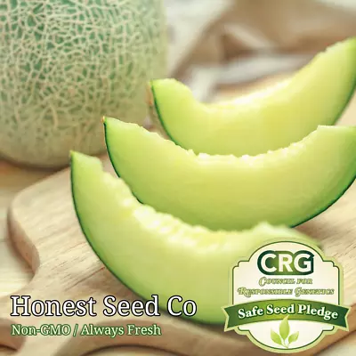 Honeydew Melon Seeds | Non-GMO | Heirloom | Fresh Garden Seeds • $3.98