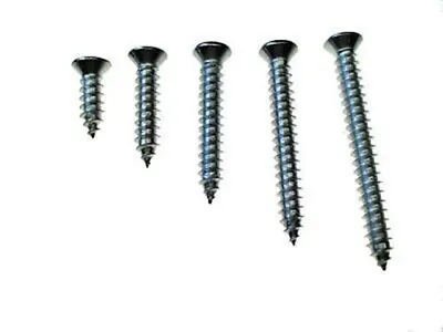 125pc #8 W/6 Phillips Oval Head Chrome Automotive Interior Trim Screws Fits Ford • $16.75