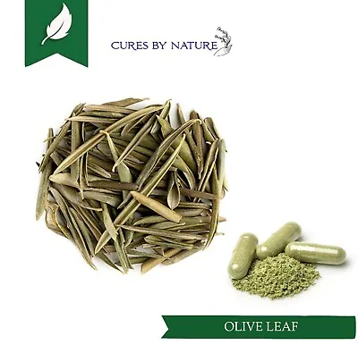 Organic Olive Leaf  EXTRACT Capsule|Powder Antioxidant  Immune NO ADDITIVES   • £5.99