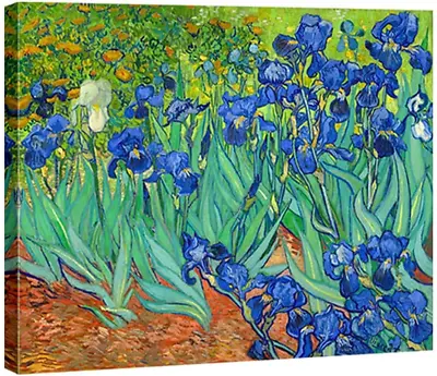 Irises Modern Stretched And Framed Floral Giclee Canvas Print By Van Gogh Famous • $30.99