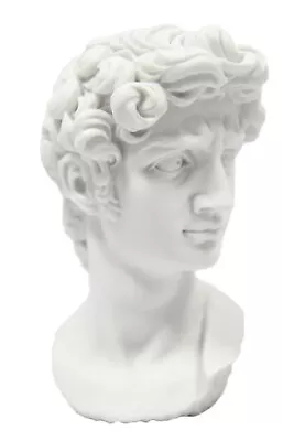 Bust Of David Michelangelo Italian Statue Sculpture Vittoria Made In Italy • $39.99