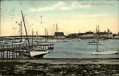 Oak Bluffs Massachusetts MA New Harbor Waterfront C1910 Vintage Postcard • $7.46