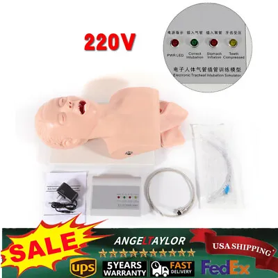 $229.01 • Buy PVC Adult Intubation Manikin Study Teaching Model Airway Management Trainer 220v