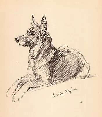 1940 Vintage German Shepherd Print Wall Art Decor Lucy Dawson Illustration 4907g • $21.60