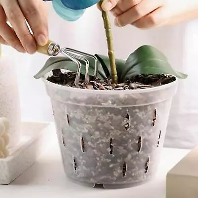 Orchid Pot /Pp Plant Pots /with Drainage Holes/ Breathable Clear Planter Orchid • $6.75