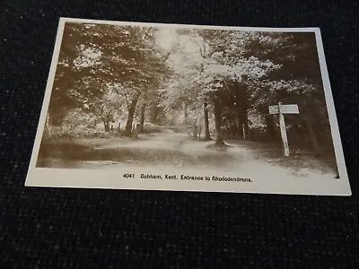 Cobham Kent Entrance To Rhododendrons Postcard - 76621 • £1.50