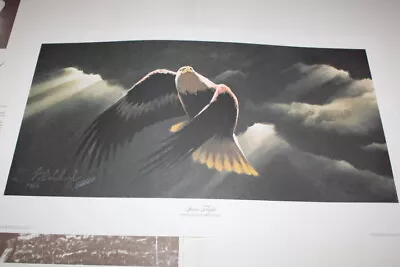 Vintage 1981 Queste Guy Coheleach Signed Numbered Print STORM FLIGHT 709/850    • $200