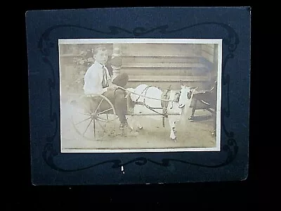 Cabinet Card-  Young Boy In Goat Cart • $25