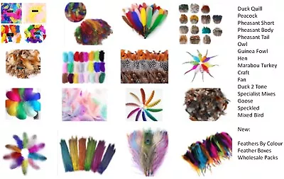 50 Feather Types Peacock Pheasant Mixed Packs Craft Rooster Duck Fancy Owl Goose • £4.59