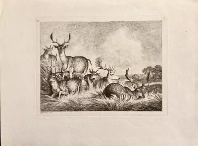 £7 • Buy Antique C18th Georgian Etching By Samuel Howitt - Resting Deer & Stags, 1806