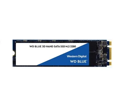 $60 • Buy Western Digital WD Blue 250GB M.2 SATA SSD 560R/525W MB/s 95K/81K IOPS 100TBW 1.