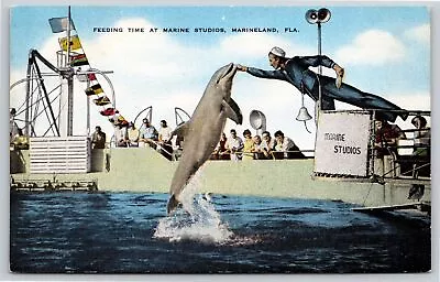 Marineland FL~Feeding Time Of Porpoise Marine Studios~Vintage Linen Postcard • $3.70