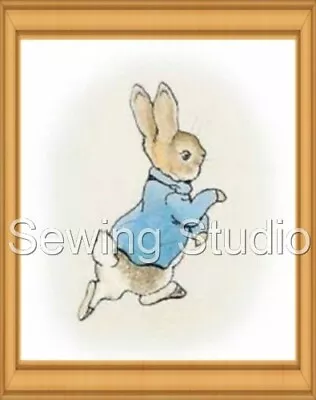 £6 • Buy Peter Rabbit Designs - Machine Embroidery Designs On Cd Or Usb