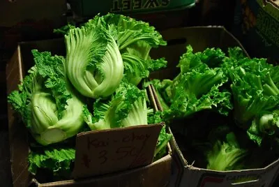 500 Seeds Of Oriental Mustard (Chinese Mustard Gai Choy) Brassica Juncea • $2.99