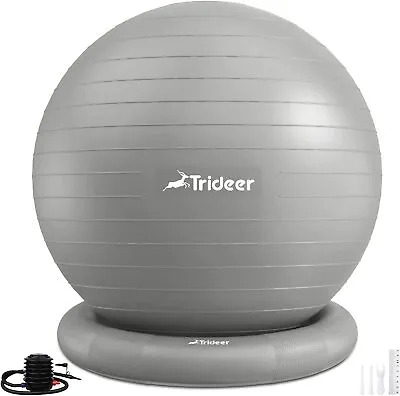 $34.95 • Buy Trideer 25.5  (65cm) Yoga Ball + Base And Resistance Bands Gray