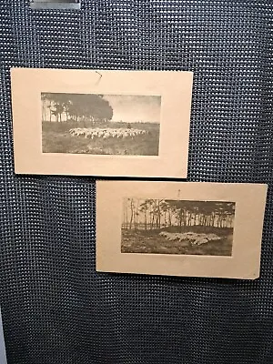 2-Vintage Pictures By A. Mauve  Sheepfold  &  Return Of The Flock  • $46