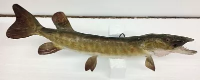 Vtg Northern Pike Taxidermy Fish Mount 15  Inch Real Skin Man Cave Cabin Decor • $79.95