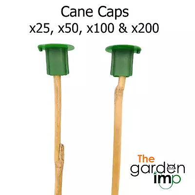 Cane Caps Plastic Toppers Garden Allotment Eye Skin Safety Protector Small Canes • £5.19