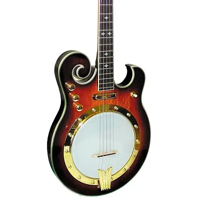 Gold Tone EBM Electric Banjo • $1299.99