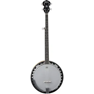 Washburn 5-String Banjo Closed Back Banjo • $349