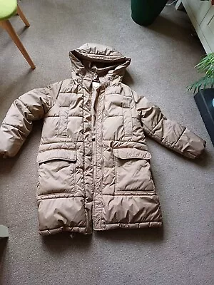 Ladies H&M Camel Padded Coat • £6