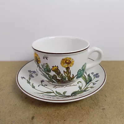 Villeroy & Boch Botanica Cup & Saucer • $10.39