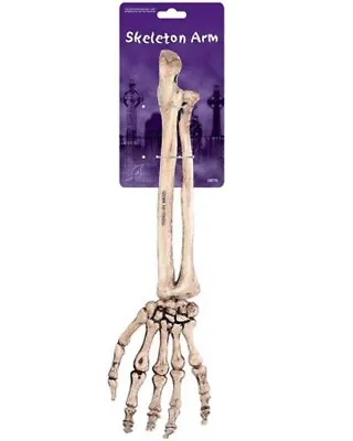 14.5  Skeleton Bone Life-Size Human Arm And Hand Halloween Prop Haunted House • $4.95