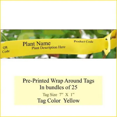 Lavandula Munstead - Printed Tags  { Pk Of 25  } • $4.95