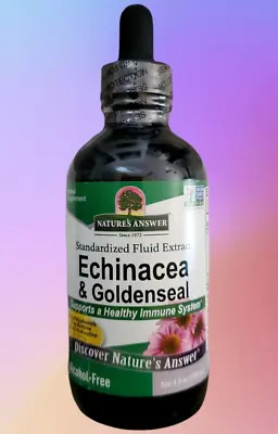 4 Oz Nature's Answer - Echinacea & Goldenseal - Supports Immune System  4 Fl Oz  • $38.98
