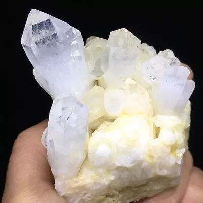 218g Museum Quality Transparent White Quartz Crystal Cluster Mineral Specimen • $36.90