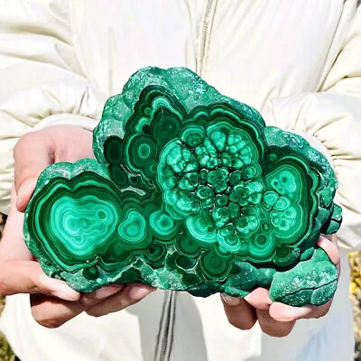 1.79LB Natural Malachite Slice Quartz Crystal Luster Mineral Specimen • $12.50