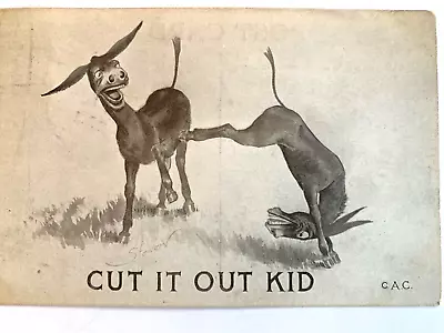 Donkey Postcard 1911 Cut It Out Kid Series H.J.B. Humor C.A.C. Postmark Stamp • $10.34