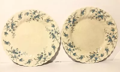 Myott Forget-me-not Staffordshire Dinner Plates  101/2  S/2 • $24.10