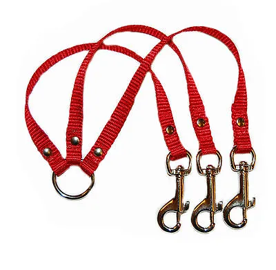 Red 3 Way Chihuahua  Dog/puppy Coupler/lead • £7.99