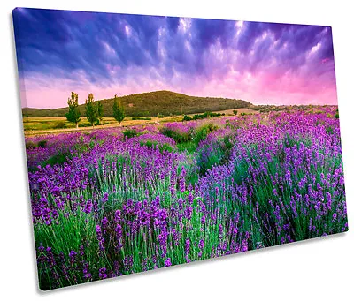 Summer Lavender Field Sunset SINGLE CANVAS WALL ART Picture Print • £24.99