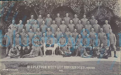 WW1 Brecknockshire Battalion No1 Company & Platoon Mhow India Posted • £45.48