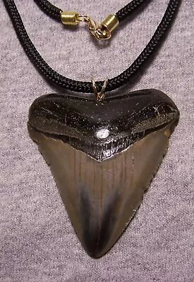 Megalodon Shark Tooth Necklace  2 1/4   Fossil Teeth Pendant Jaw Megalodon GEM • $59