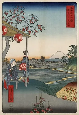 JP34 Vintage Japanese Fujimi Teahouse At Zoshigaya Art Poster Print A4/A3/A2/A1 • £3.25