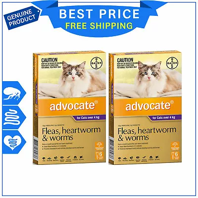 ADVOCATE For Cats Over 4 Kg PURPLE Pack 12 Pipettes Heartworm Flea Worm Control • $165.99