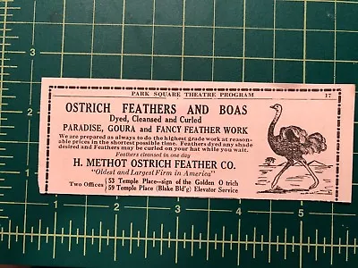 £14.24 • Buy 1916 Print Ad Ostrich Feather And Boa Dry Cleaning METHOT OSTRICH FEATHER CO