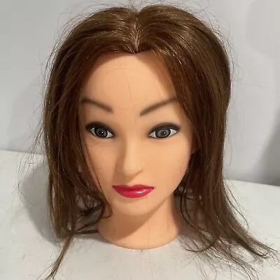 Cosmetology Hairdresser Practice Mannequin Head With Brown Hair • $21.99