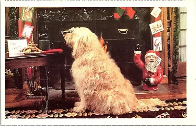 $5.63 • Buy Postcard~North Shore Animal League~Rescue~Dog~Santa~A98