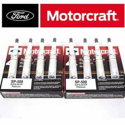 8Pcs MOTORCRAFT PLATINUM Spark Plugs OEM SP-509 For Ford F150 EXPLORER LINCOLN • $25.99