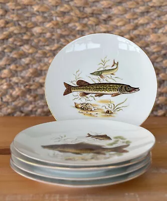Vintage Bareuther Waldsassen Trout Fish Lunch Plate Bavaria Germany • $75