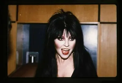 Elvira Cassandra Peterson Candid 1983 Original 35mm Transparency Slide • $24.99