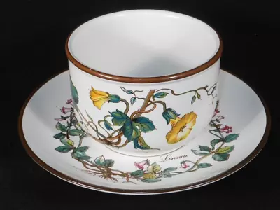 539-C586-3LZ Rare Villeroy & Boch Luxembourg Botanica Sugar Bowl & Saucer • $26.49